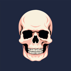 Human skull Vector illustration in cartoon style Isolated on dark background