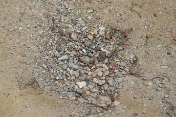 pebbles on the beach