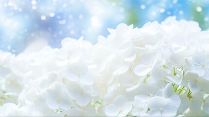 Hydrangea Small White Flowers in Dreamy Texture Background. Perfect for Nature, Greeting Cards, Holiday or Wedding Invitations