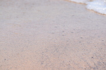 sand in the shallow water