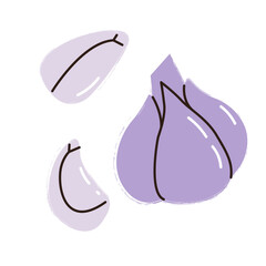 Fresh whole garlic vegetable and garlic cloves. Farm market vegetable product. Salad ingredient. Botanical picture. Modern poster with hand drawn design for wall decor, card, cover.