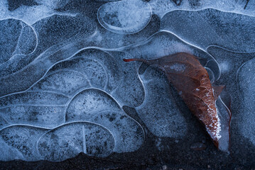 Sezon zimowy, zamarznięta woda, wzór na lodzie, zimowe tło trendy 2025.