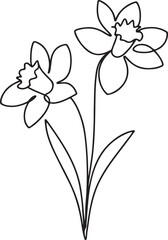 Vector Line Art of Daffodil Flower – Fresh Spring Design