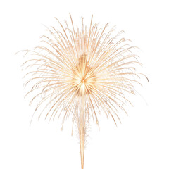 Golden Firework Burst with Radiating Light Streaks On White Background