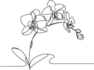 Orchid Line Art Vector. A Blend of Simplicity and Style
