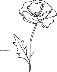 Vector Line Drawing of Poppy Flower - Clean and Aesthetic