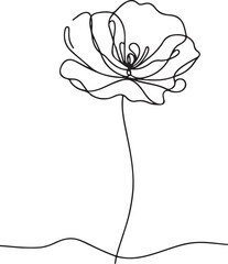 Vector Line Drawing of Poppy Flower - Clean and Aesthetic