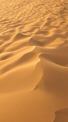 A sweeping panorama of the sand dune system at dawn, with the sun casting long shadows across the beach and shoreline , sand dunes, natural beauty, landscape
