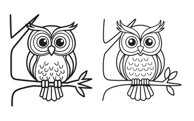 two owls on branch