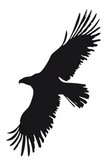 Bird flying in sky