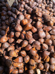 Sunlit Salak Pile A Rustic Harvest Still Life
