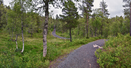 Obraz premium Varden viewpoint hiking trail views, fjord city of Molde mountain forests surrounded by ocean islands summer 2024, Norway Scandinavia Europe.