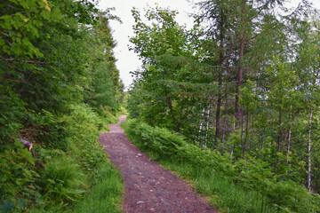 Varden viewpoint hiking trail views, fjord city of Molde mountain forests surrounded by ocean islands summer 2024, Norway Scandinavia Europe.