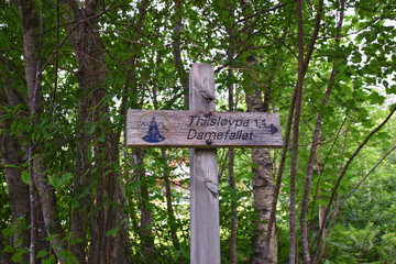 Varden viewpoint hiking trail views, fjord city of Molde mountain forests surrounded by ocean islands summer 2024, Norway Scandinavia Europe.