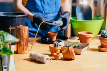Close up of woman wearing black gloves replanting succulent, removing cactus from the pot.