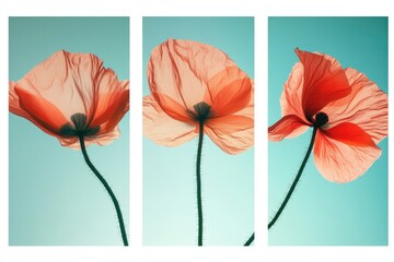 Red Poppies Against Blue Sky