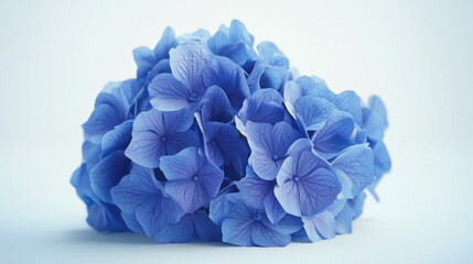 Obraz premium Close up of blue flowers