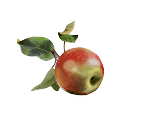 ripe red apple with leaves 
