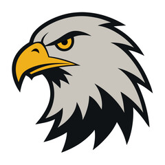 Obraz premium eagle head