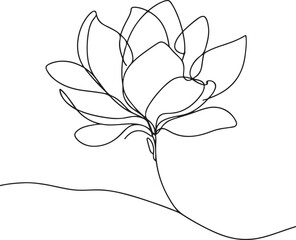 Magnolia Flower Vector Drawing – Line Art Design