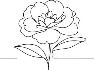 Stunning Line Drawing of Camellia Flower - Vector Art