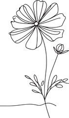 Cosmos Flower Outline in Vector Art for Floral Design