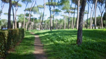 Blurred outdoor scene in villa borghese with lush greenery, tall trees, and bright sunlight creating a peaceful, defocused atmosphere in rome's famous gardens.