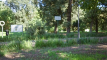 Naklejka premium Blurred scene of villa borghese gardens in rome with defocused greenery, path, person, sign, and lamp post under bright sunlight in an outdoor setting.