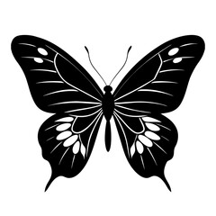 Black butterfly silhouette