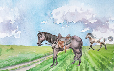 Horse on a field landscape watercolotr painting. Horse ride concept hand painted card with copy space. © Victoria