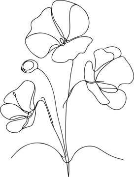 recommend clip art: Minimalist Sweet Pea Flower Line Drawing Vector Illustration