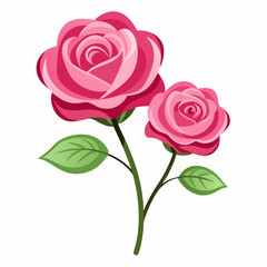 pink rose isolated on white background. Pink Roses Illustration - Elegant 3D Render for Floral and Romantic Designs.