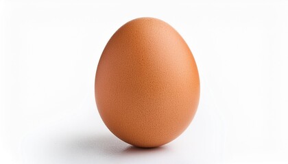 single brown chicken egg isolated on white background