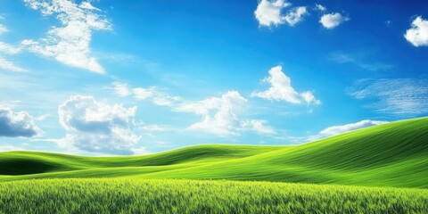 Obraz premium Rolling green hills extend towards the horizon beneath a vibrant blue sky, dotted with fluffy white clouds on a beautiful sunny afternoon