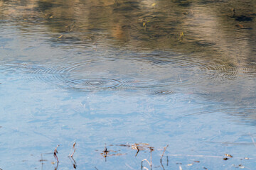 Round droplets of water over circles on the lake water. Water drop, whirl and splash. Ripples on sea texture pattern background. Fish get oxygen