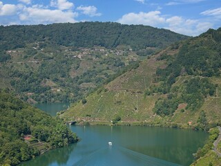 Ribeira Sacra vineyards at Belesar, Miño River, Lugo, Galicia, Spain