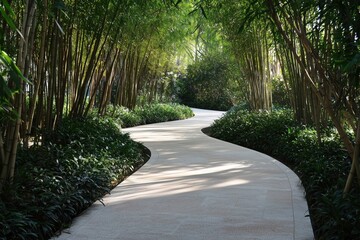 Fototapeta premium Minimalist Bamboo Forest Path