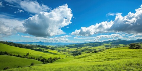 Fototapeta premium Vibrant green hills stretch across the landscape under a clear blue sky filled with fluffy white clouds, creating a peaceful and idyllic countryside view