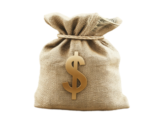 Isolated Simple Money Bag with Dollar Sign