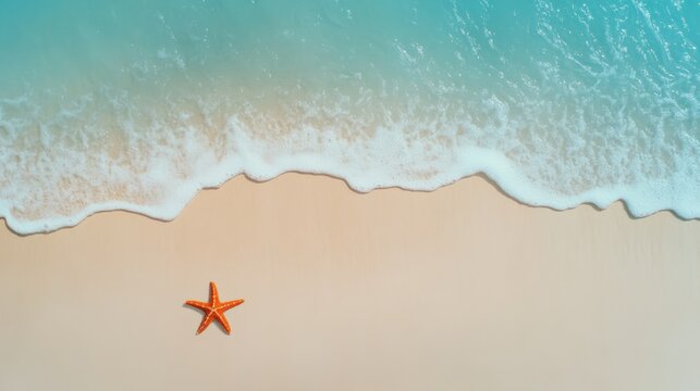 Soft waves gently caress the sandy beach where a vibrant starfish rests, creating a serene and idyllic summer scene perfect for evoking feelings of tranquility and coastal beauty