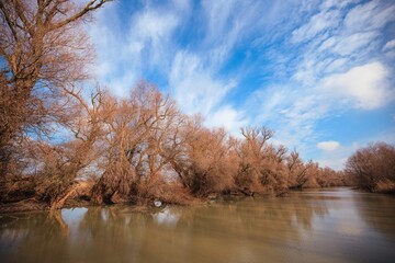 A tranquil riverside showcases bare trees standing tall, their reflections gracing the calm waters beneath a brilliant blue sky filled with wispy clouds. Nature embraces peaceful solitude