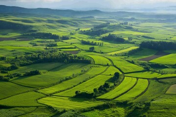 Fototapeta premium Lush green fields and rolling hills create a serene landscape under soft sunlight in rural countryside