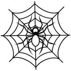 Fototapeta premium spider on web