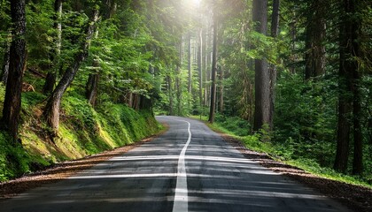 inexperienced forest road inexperienced tour and 