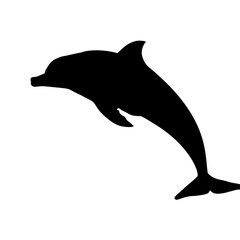 set of dolphin silhouettes - vector illustration © KR Studio