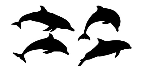 set of dolphin silhouettes - vector illustration © KR Studio