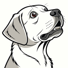 Adobe Illustrator Artwork  Extreme close up of funny shocked surprised labrador dog.