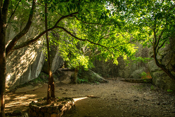 Experience Sri Lanka’s Sigiriya Lion Rock: Ancient Fortress, Rock Paintings, and Panoramic Views of a UNESCO World Heritage Wonder