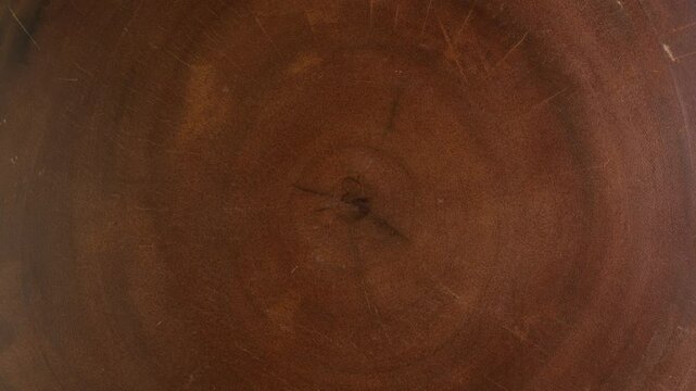 Cross section of the tree with age rings. Circular piece of wood cross section cut or saw cut tree trunk with texture pattern and age ring lines.