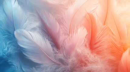 Colorful feathers creating a soft and vibrant abstract background